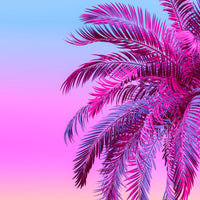 Thumbnail for Model M | Color