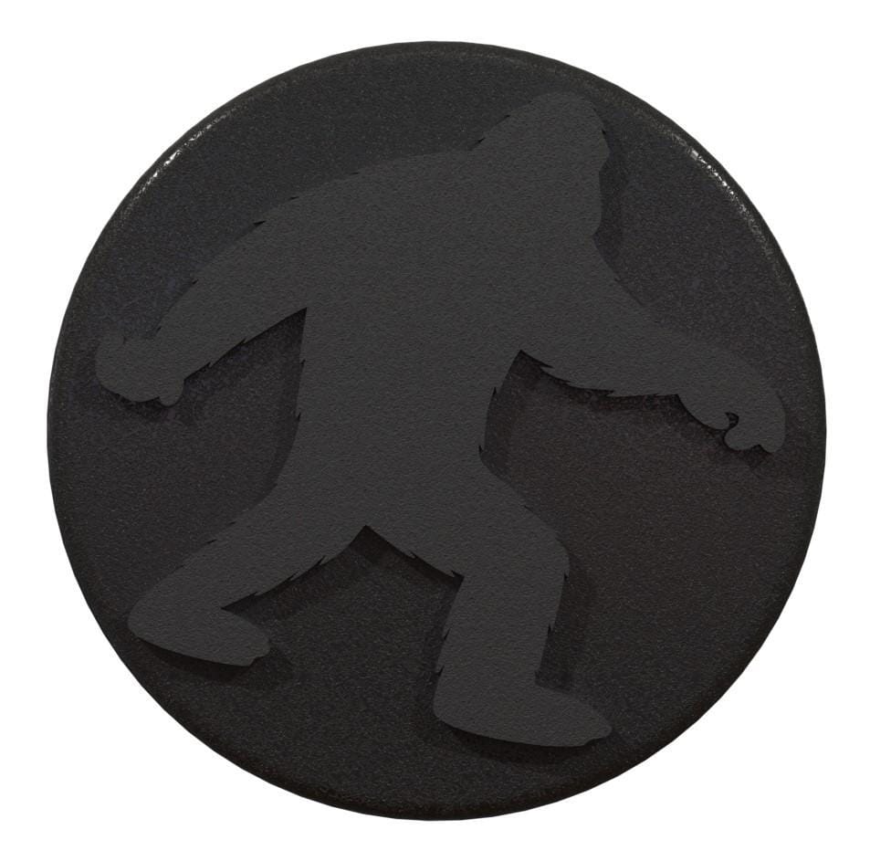 Tailgate Lock Cap (02-22)