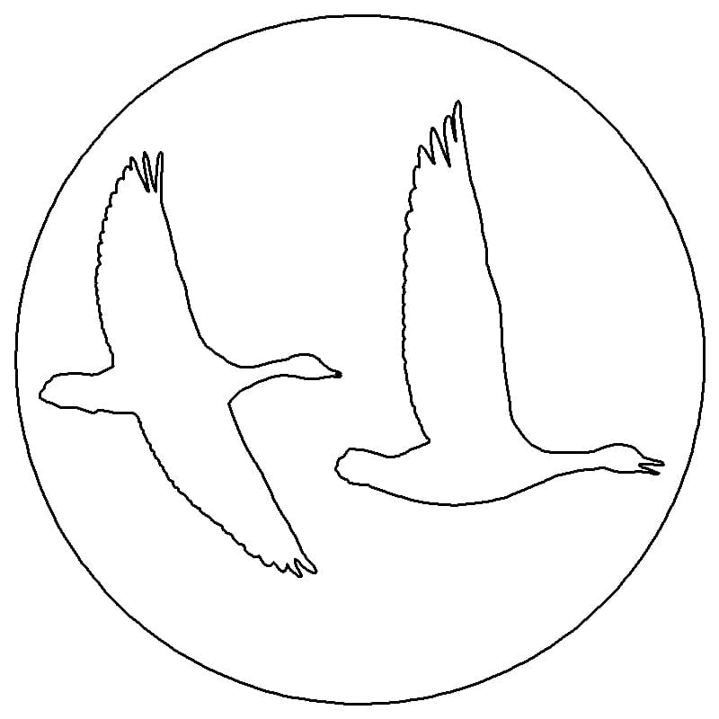 Tailgate Lock Cap (02-22) Geese