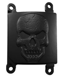 Thumbnail for Skull | Custom Light Panels