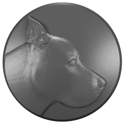 2018 - 2023 Jeep Wrangler & Gladiator Wiper Caps (HD) Pitbull 