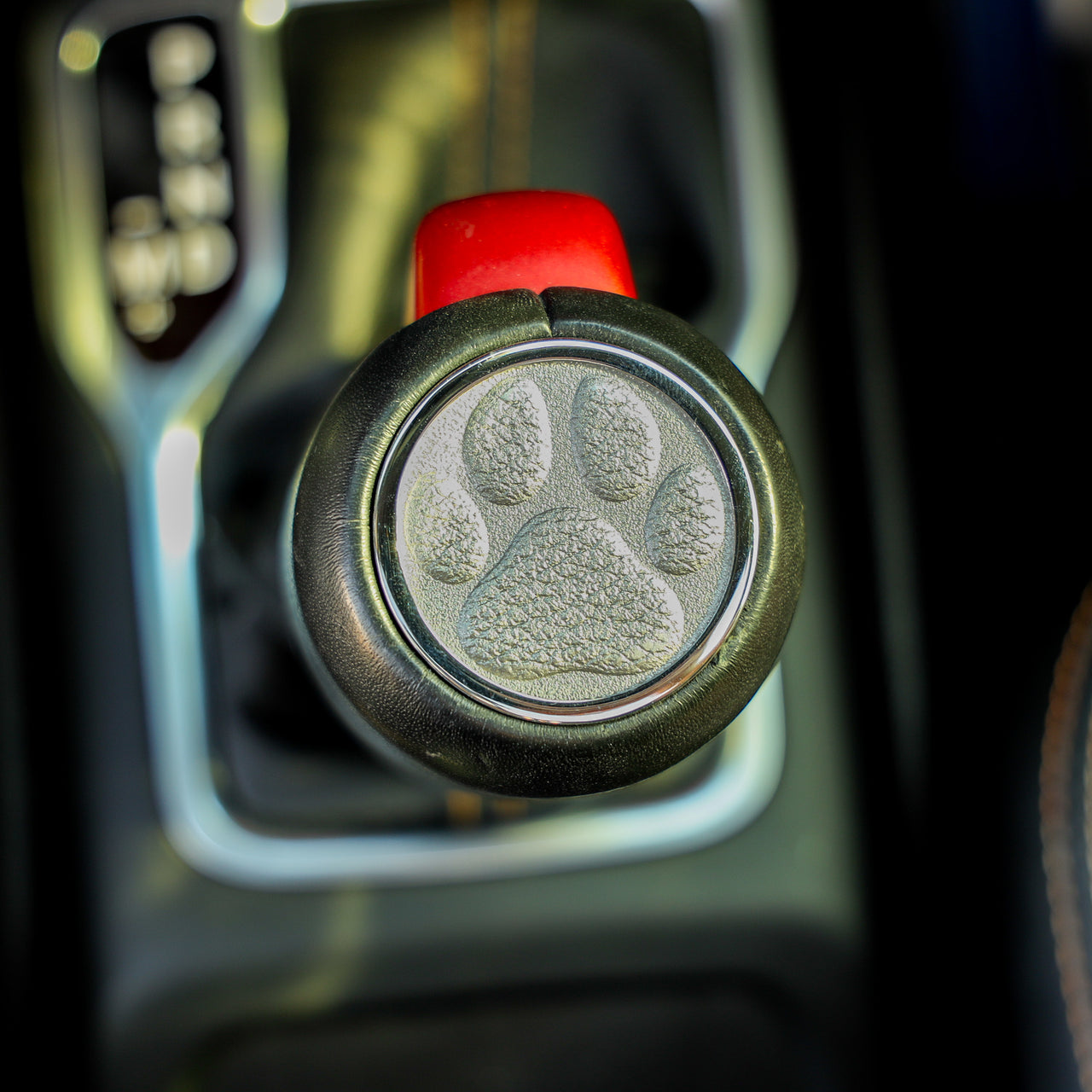 Dog Paw | Shifter Insert