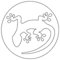 Gecko.
