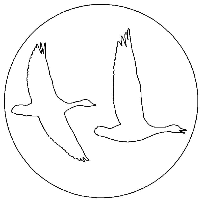 Passenger Side Badge Geese 