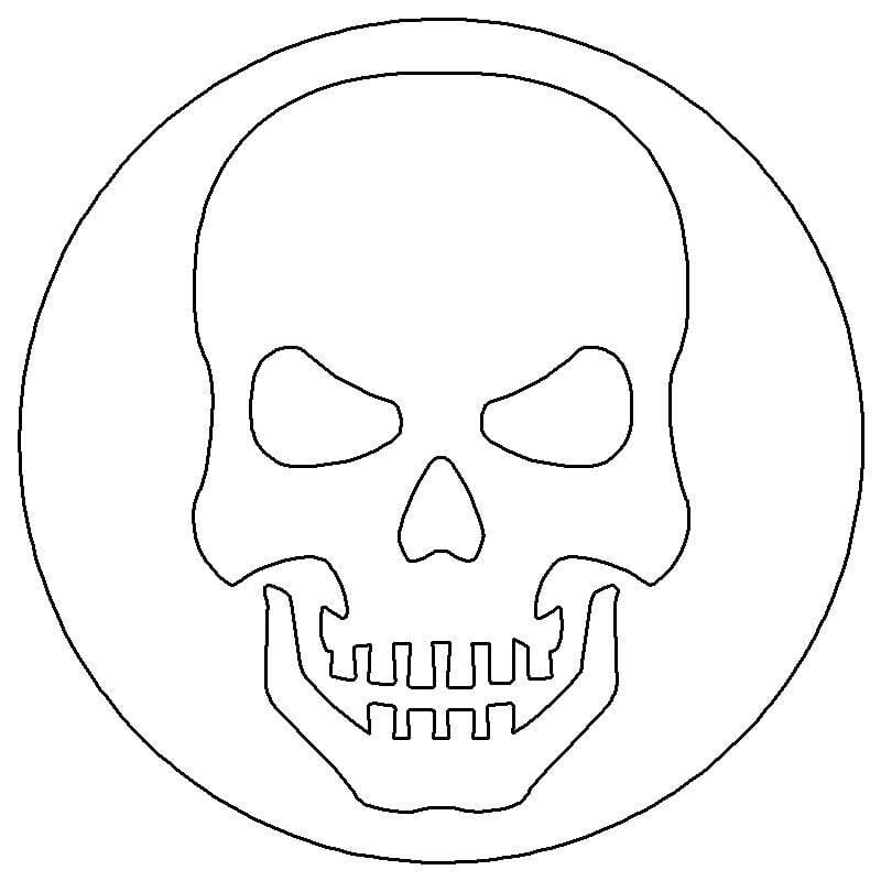 Passenger Side Badge Skull 
