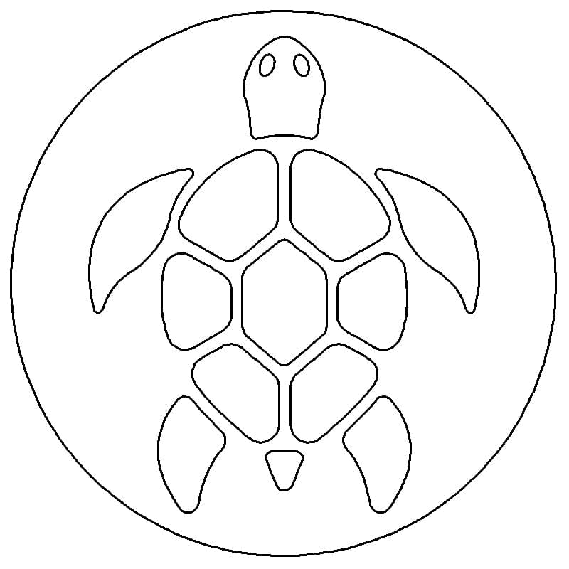 Passenger Side Badge Turtle 