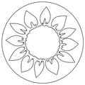 Sunflower