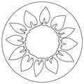 Sunflower
