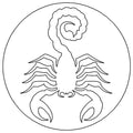 Scorpion