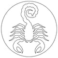 Scorpion