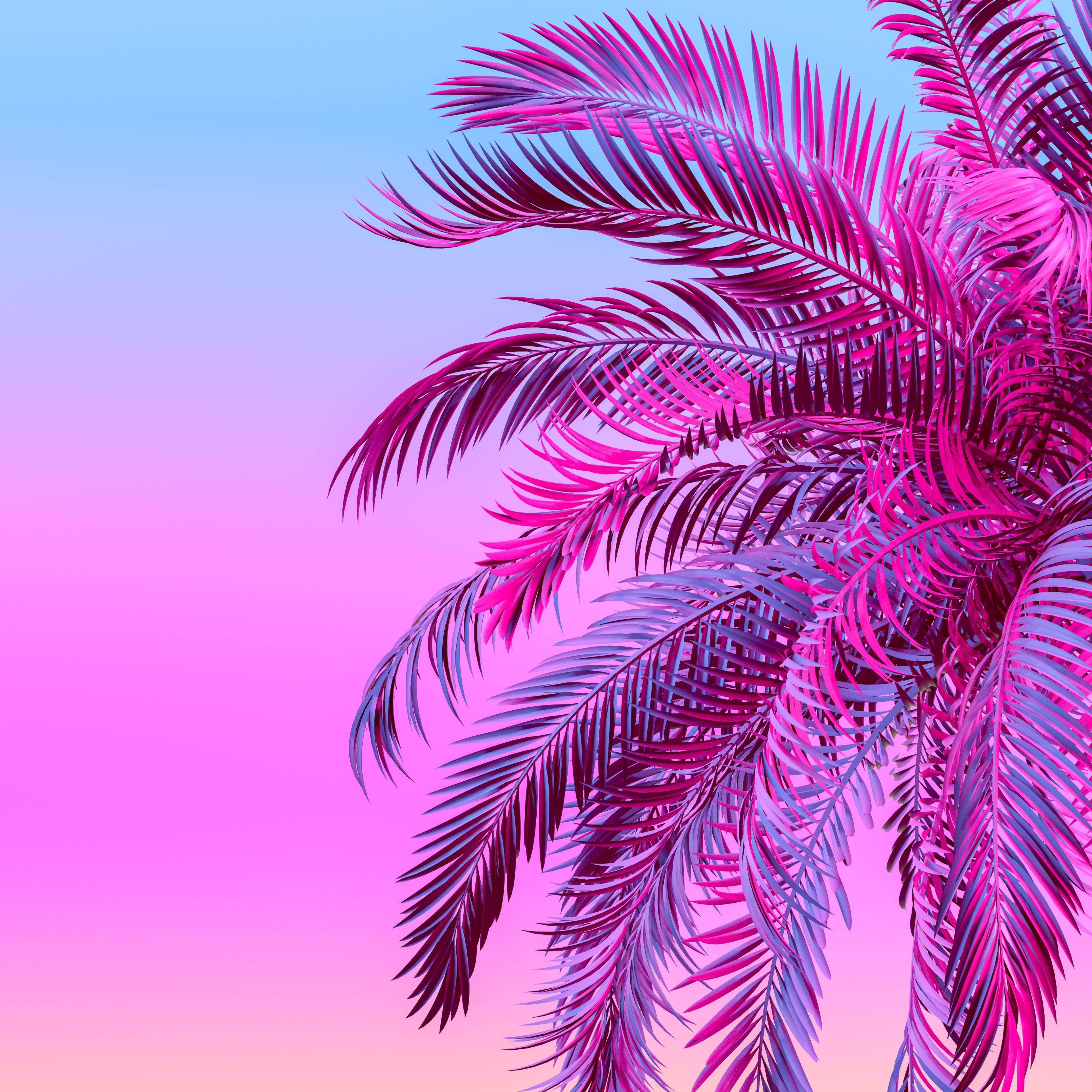 Model M+ | Color Default Title #MWS Options 2703796546 