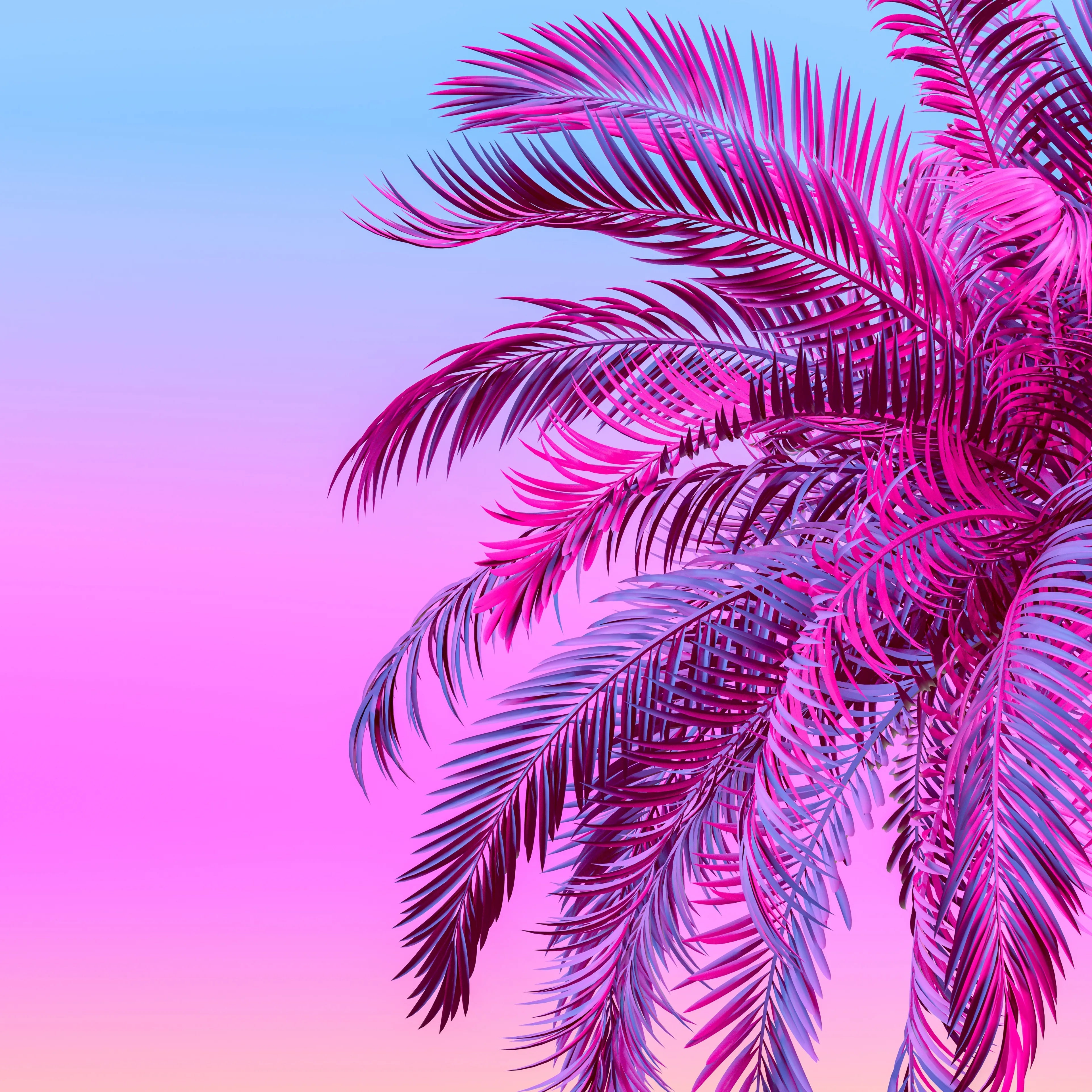 Model M+ | Color Default Title #MWS Options 2486675769 